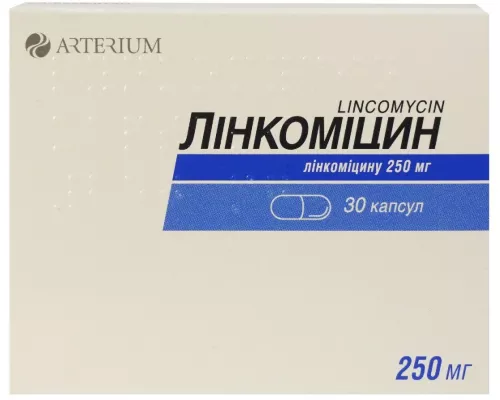 Линкомицин, капсулы 0.25 г, №30 | интернет-аптека Farmaco.ua