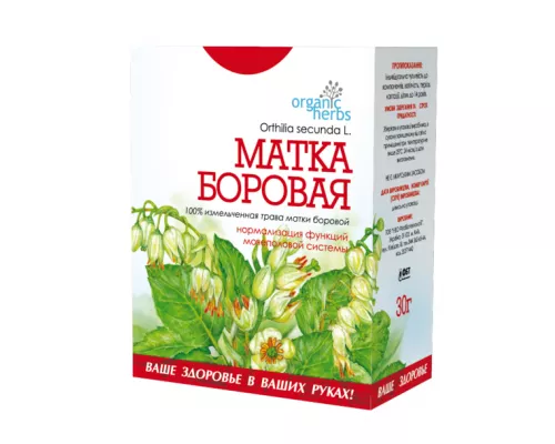 Матка Борова, трава, 30 г | интернет-аптека Farmaco.ua