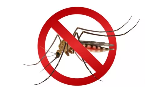Stop Mosquito, лосьон репеллент, спрей защитный для детей, 90 мл | интернет-аптека Farmaco.ua